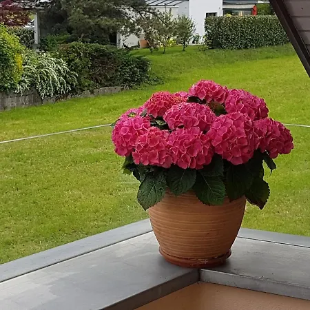Appartamento Himmelblick