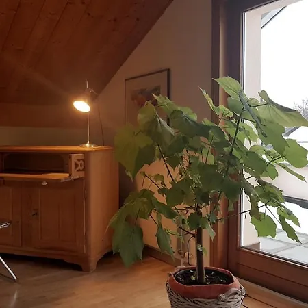Himmelblick Apartamento *
