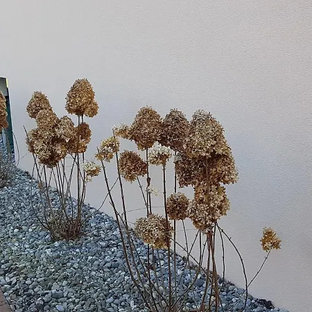 Apartamento Himmelblick *