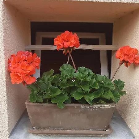 Apartamento Himmelblick